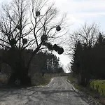 Feel-harmonia W Nowym Kawkowie * Nowe Kawkowo