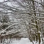 Апартаменты Feel-harmonia W Nowym Kawkowie *