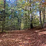 Апартаменты Feel-harmonia W Nowym Kawkowie *