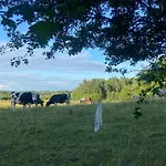 Апартаменты Feel-harmonia W Nowym Kawkowie