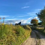 Feel-harmonia W Nowym Kawkowie *