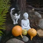 Апартаменты Feel-harmonia W Nowym Kawkowie *