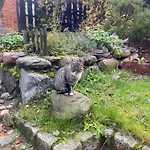 Апартаменты Feel-harmonia W Nowym Kawkowie *