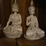 Feel-harmonia W Nowym Kawkowie *