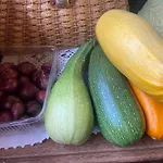 Апартаменты Feel-harmonia W Nowym Kawkowie