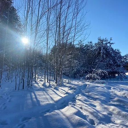 Feel-harmonia W Nowym Kawkowie Nowe Kawkowo