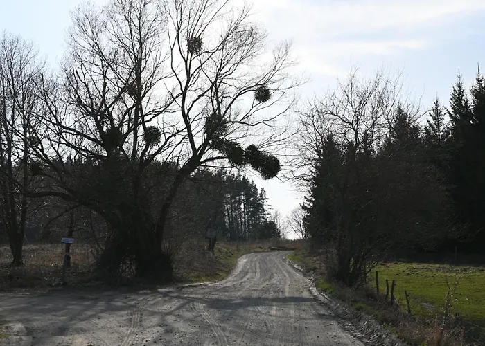 Feel-harmonia W Nowym Kawkowie * Nowe Kawkowo