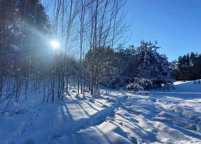 Feel-harmonia W Nowym Kawkowie Nowe Kawkowo