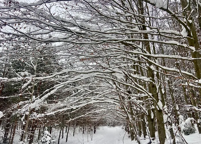 Apartament Feel-harmonia W Nowym Kawkowie *