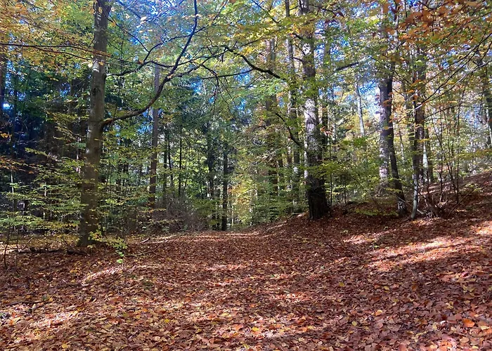 Apartament Feel-harmonia W Nowym Kawkowie *