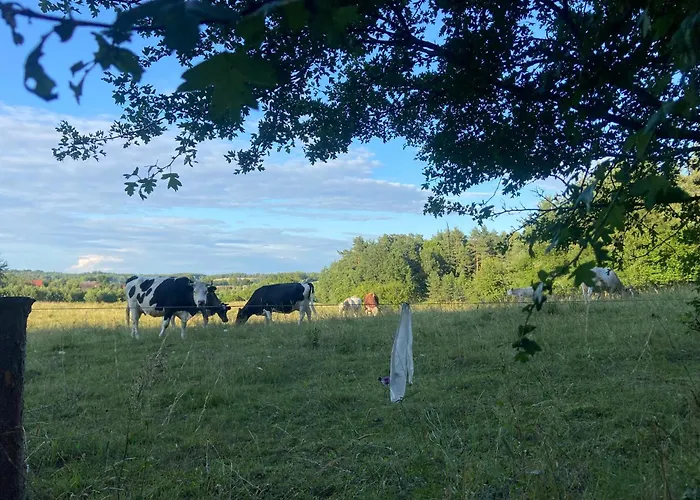 Apartament Feel-harmonia W Nowym Kawkowie