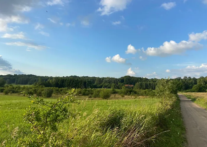 Feel-harmonia W Nowym Kawkowie * Nowe Kawkowo