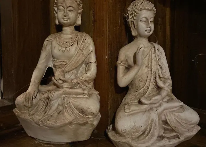 Feel-harmonia W Nowym Kawkowie *