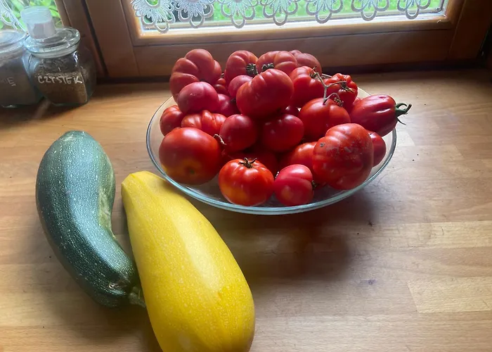 Feel-harmonia W Nowym Kawkowie * Nowe Kawkowo